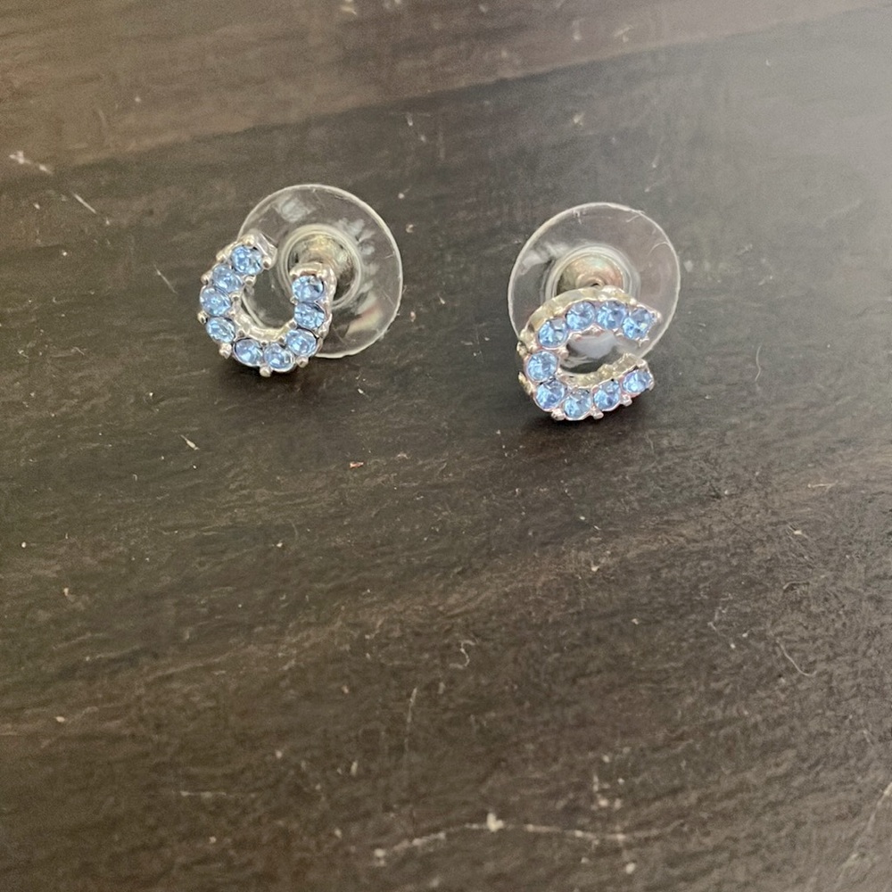 horseshoe earrings!